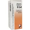 Afbeelding van Reckeweg Albumo gastreu R64