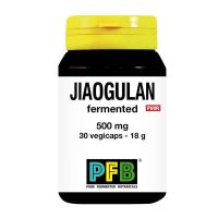 SNP Jiaogulan fermented 500 mg puur