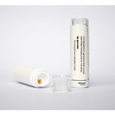 Homeoden Heel Phosphorus D30 6 gram - Homeopathische geneesmiddelen