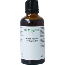 Foto van Cruydhof Ribus nigrum & zwarte bes