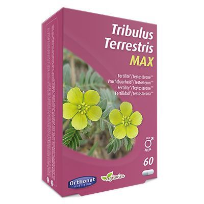 Trenker Tribulus terretris max