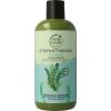 Afbeelding van Petal Fresh Shampoo seaweed & argan oil