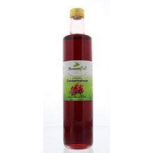 Foto van Bountiful Cranberrysiroop bio