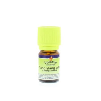 Volatile Ylang ylang