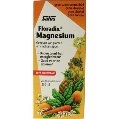 Salus Floradix magnesium 250 ml - Mineralen multi