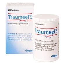 Foto van Heel Traumeel S