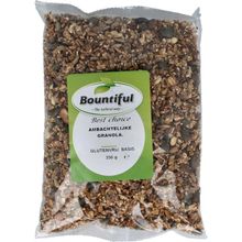 Foto van Bountiful Ambachtelijke granola glutenvrij bio