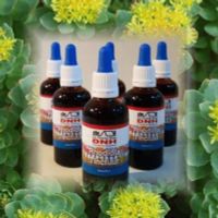 Dr B Rhodiola tinctuur
