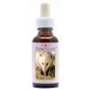 Afbeelding van Animal Essences Opossum (buidelrat)