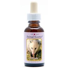Foto van Animal Essences Opossum (buidelrat)