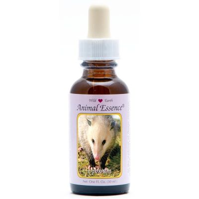 Animal Essences Opossum (buidelrat)