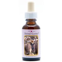 Animal Essences Wildebeest