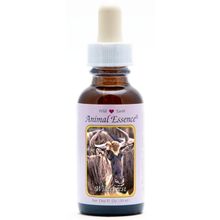 Foto van Animal Essences Wildebeest