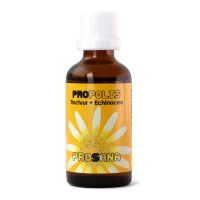 Prosana Propolis tinctuur + echin vh Garganta 43 keel plus