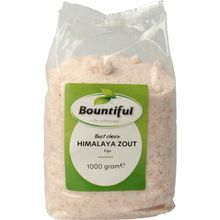Foto van Bountiful Himalaya zout fijn