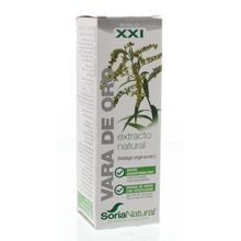 Foto van Soria Solidago virgaurea XXI extract