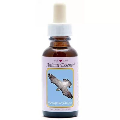 Animal Essences Peregrine falcon (slechtvalk)