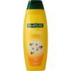 Afbeelding van Palmolive Shampoo elke dag