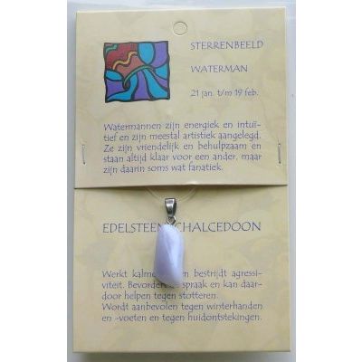 Sterrenbeeldsteen hanger waterman 1 stuks - 