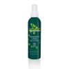 Afbeelding van Naturtint Haarspray eco