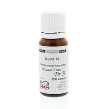 Foto van Quint 13 BMYD korrel