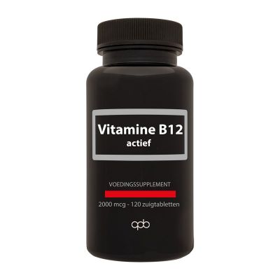 Apb Holland Vitamine B12 actief 2000mcg 120 zuigtabletten - Vitamine enkel