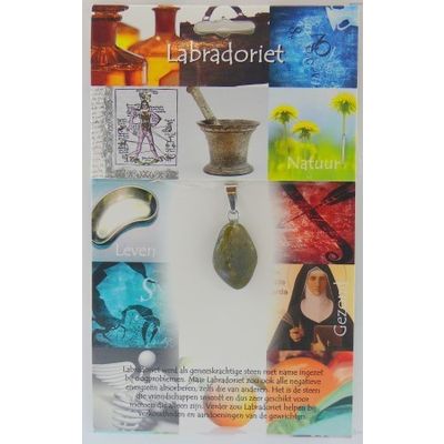Hanger gezondheidssteen labradoriet 1 stuks - 