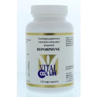 Vital Cell Life Reporphyne