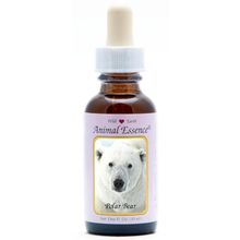 Foto van Animal Essences Polar bear (ijsbeer)