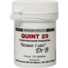 Foto van DNH Quint 29