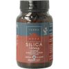 Afbeelding van Terranova Silica complex