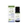 Afbeelding van Physalis Eucalyptus globulus bio