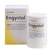 Foto van Heel Engystol