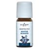 Afbeelding van Jacob Hooy winter wonder olie /jh