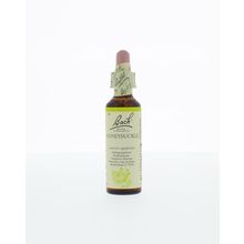 Foto van Honeysuckle / kamperfoelie