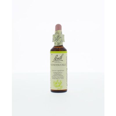 Foto van Honeysuckle / kamperfoelie