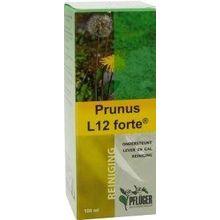 Foto van Prunus L12 forte