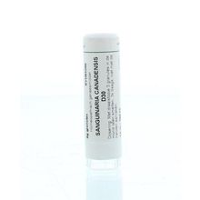 Foto van Homeoden Heel Sanguinaria canadensis D30