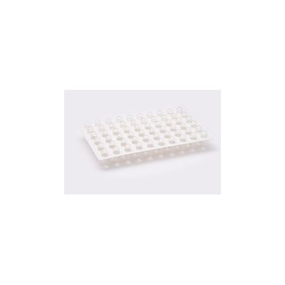 Capsule in kaart van 50 stuks nr 2 1200 stuks - 