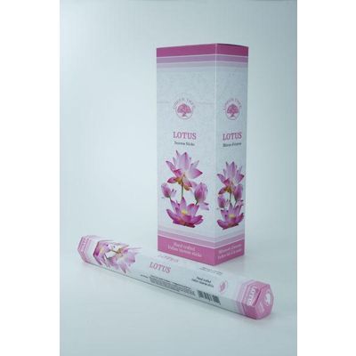 Wierook lotus 20 stuks - 