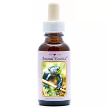 Foto van Animal Essences Salamander