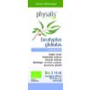 Afbeelding van Physalis Eucalyptus globulus bio