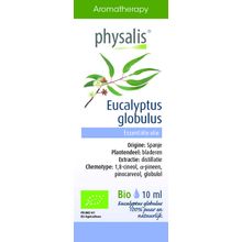 Foto van Physalis Eucalyptus globulus bio