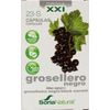 Afbeelding van Soria Ribes nigrum 23-S XXI