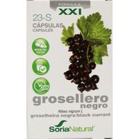 Soria Ribes nigrum 23-S XXI