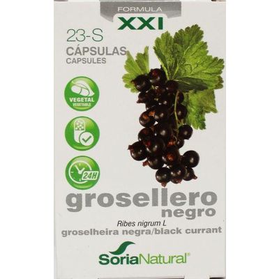 Soria Ribes nigrum 23-S XXI