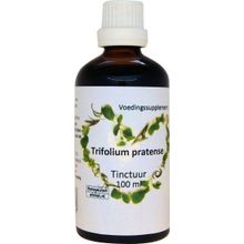 Foto van Trifolium pratense