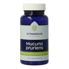 Foto van Vitakruid Mucuna pruriens 500 mg (min. 20% L-Dopa)