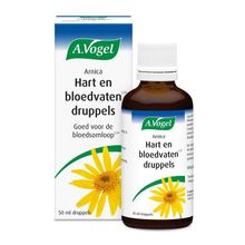 A Vogel Arnica complex Foto van A Vogel Arnica complex