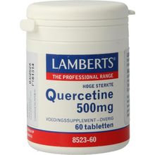 Foto van Lamberts Quercetine 500mg
